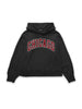 Load image into Gallery viewer, Chicago Hoodie